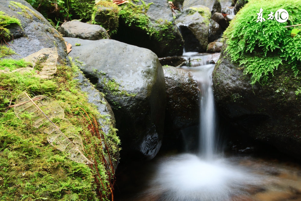 天疱疮症状及治疗方法,天疱疮好后注意什么