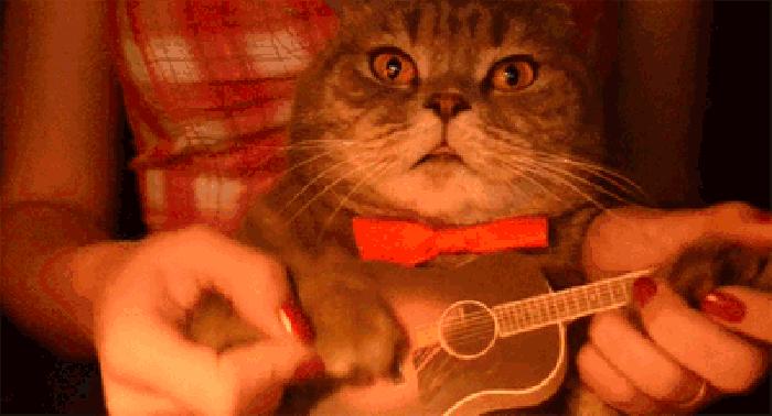 你失落的时候有多失落,你失落的时候有人安慰