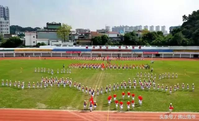 成都市少先队工作总结,广东省佛山市少先队讲解