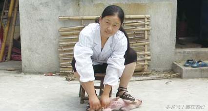 小猪阉割实拍,阉割后一定要严防这些情况发生