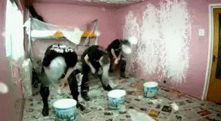 如何通过蛋黄颜色识别优质鸡蛋,蛋壳颜色可以判断鸡蛋新鲜程度