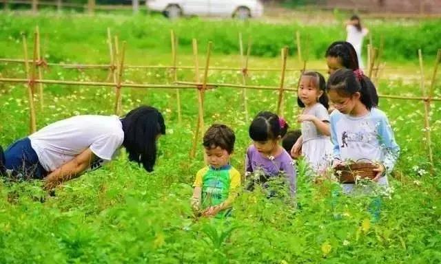 旗溪生活农场团购,旗溪生活农场