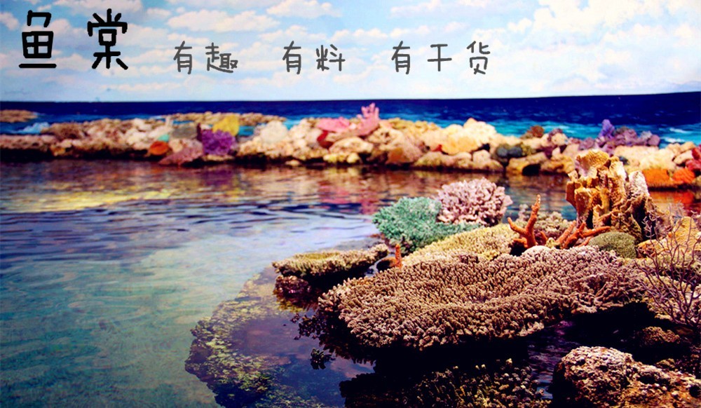 年关将近大家出门一定要注意安全,年关将近大家出门一定注意安全