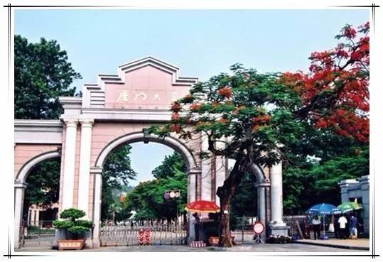 厦门冷知识你知道多少,冷知识糖怎么来的