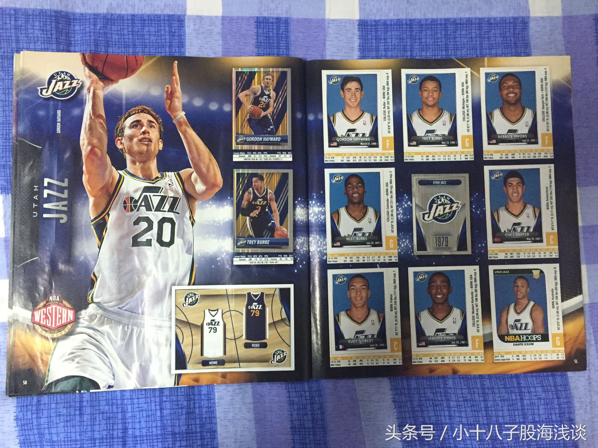 帕尼尼nba贴纸,nba帕尼尼贴纸卡