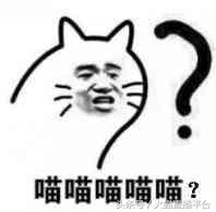 csgo赛事major四大流量队全进,csgo赛事major决赛2024