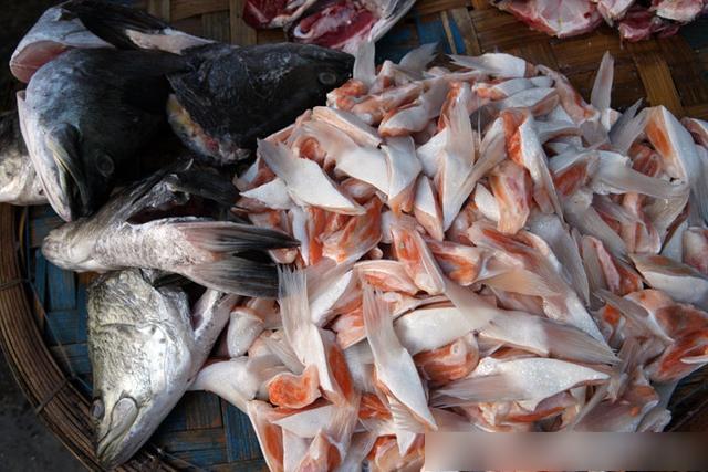 越南芽庄最新海鲜,实拍越南的海鲜集市