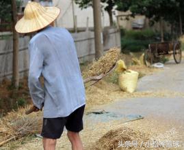 十首写给父母的经典歌曲，听完落泪，今年无论如何一定回家过年