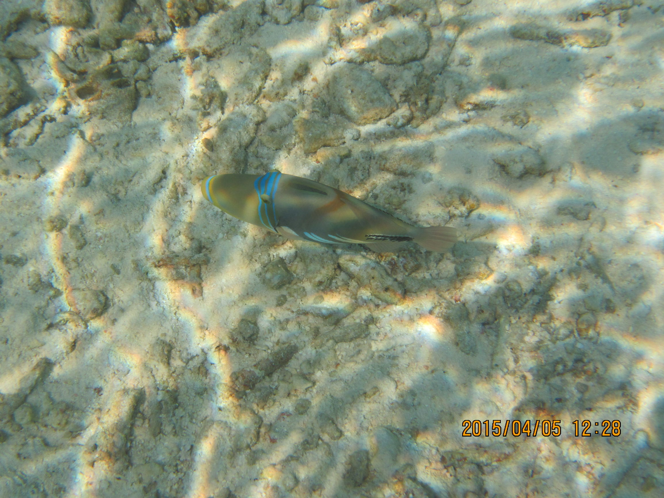 马尔代夫最美景色,最美马尔代夫风景