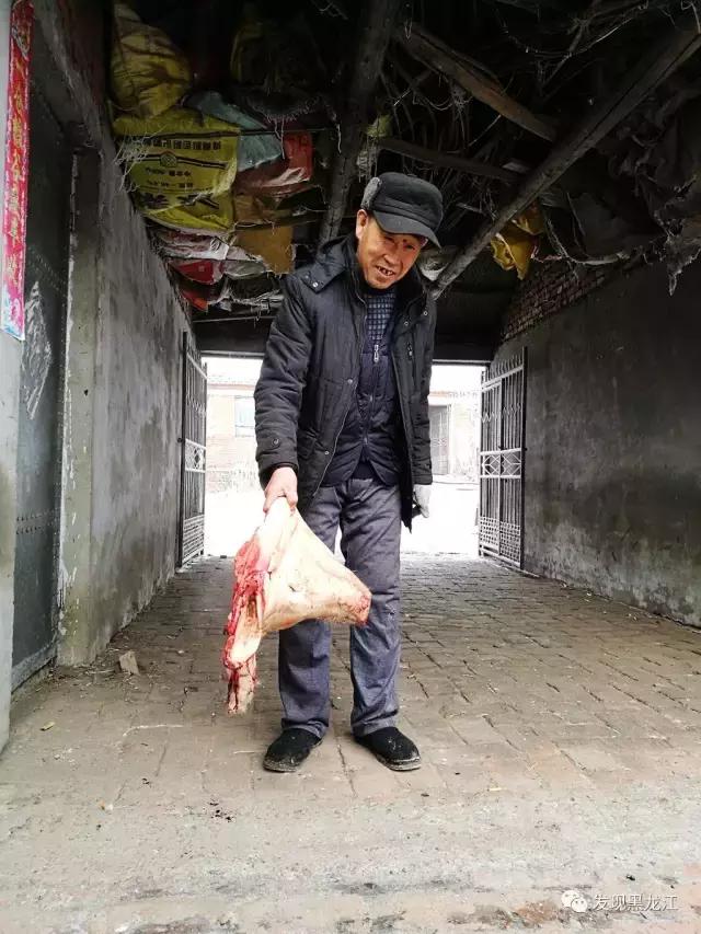 现场实拍农村一家人杀年猪全过程,东北农村真实生活杀年猪