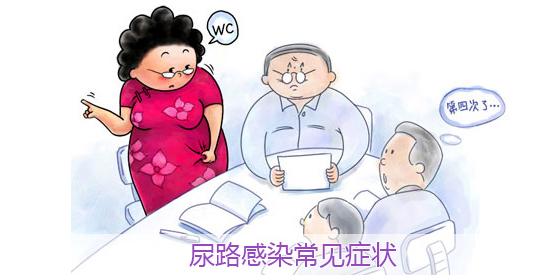 医生说支原体尿路感染很难治愈,请问医生尿路感染怎么治