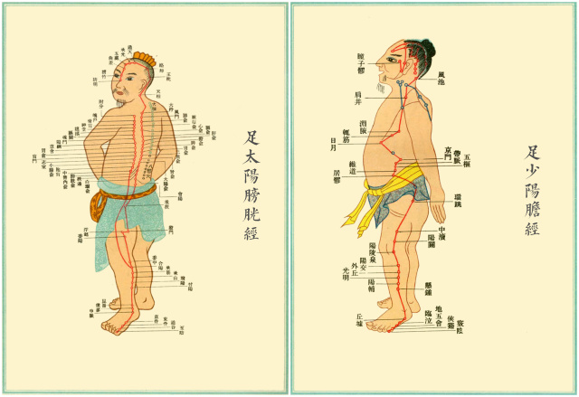 字里藏医解读,字里藏医视频