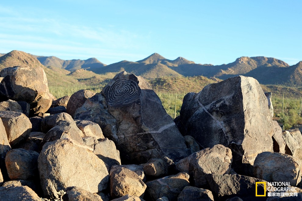 图森仙人掌,图森地理位置