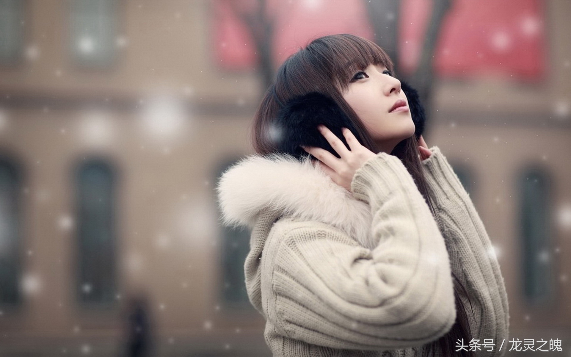 里面毛毛外面皮的衣服怎么洗,绒毛上的泥污怎么去