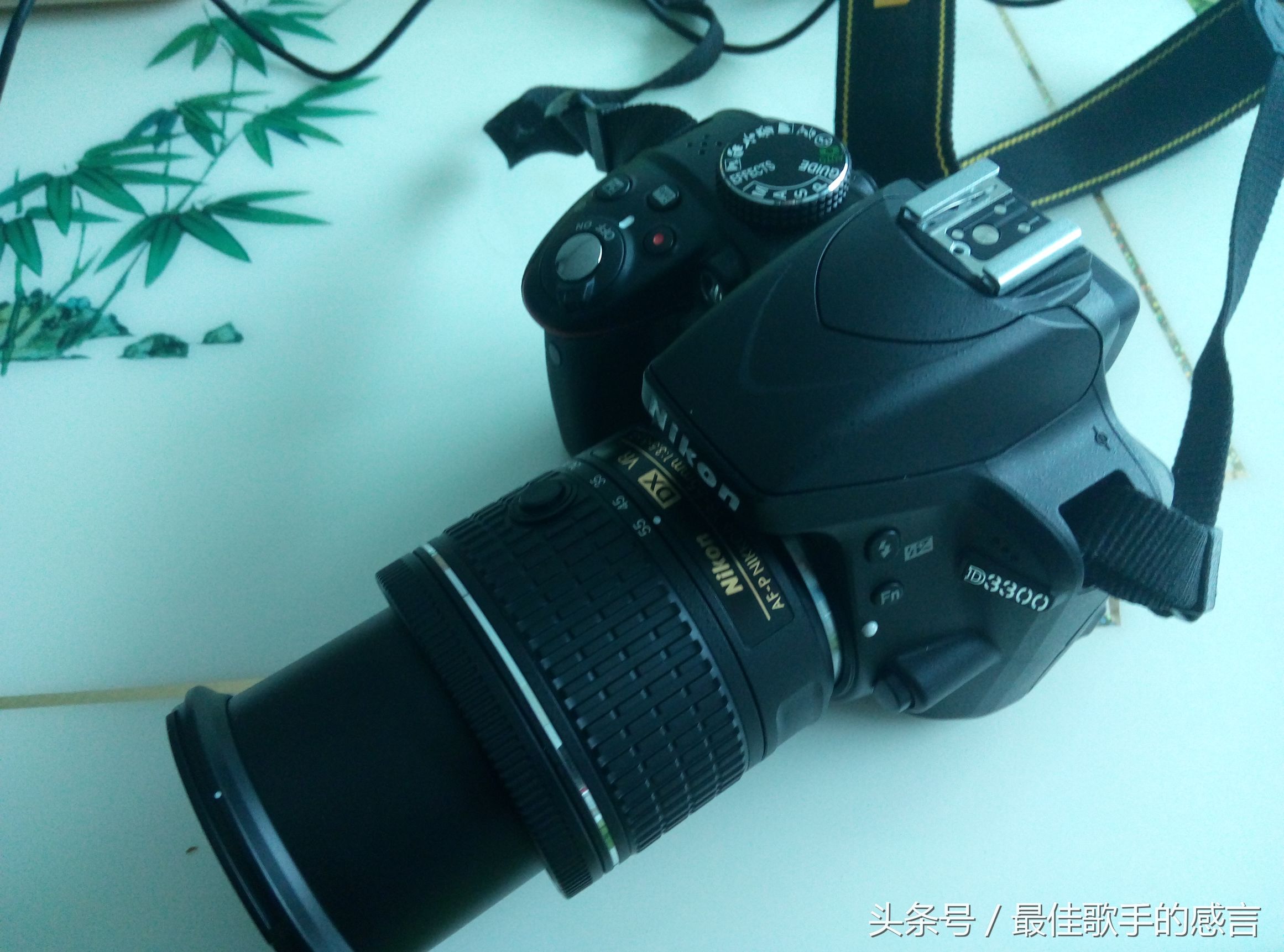 尼康d3300相机推荐新手入门,尼康d3300单反相机入门教程