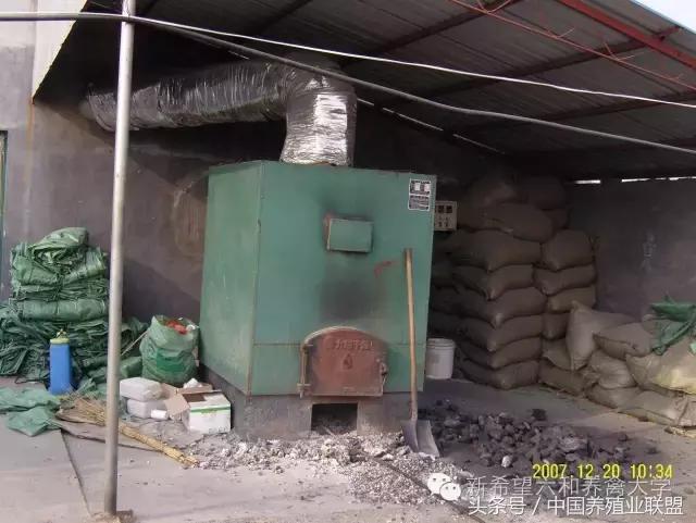 冬季鸡怎么管理,冬季脱温鸡怎么养