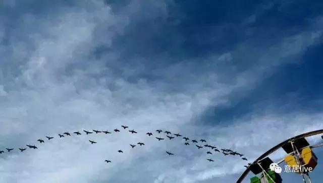 意居·头条|王师北定链家,遥望顺驰当年