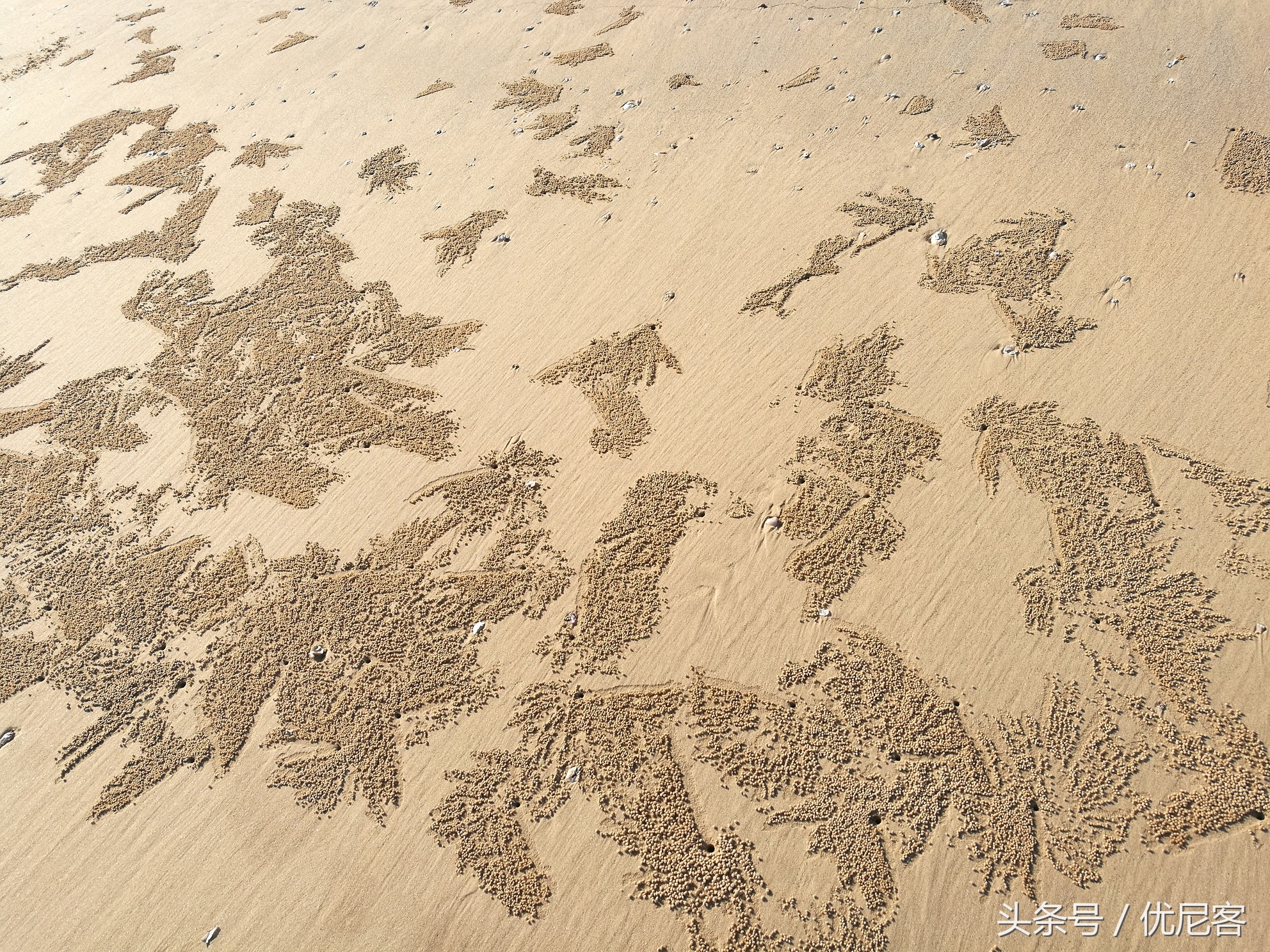 泉州惠安县古镇,泉州惠安小镇在哪里