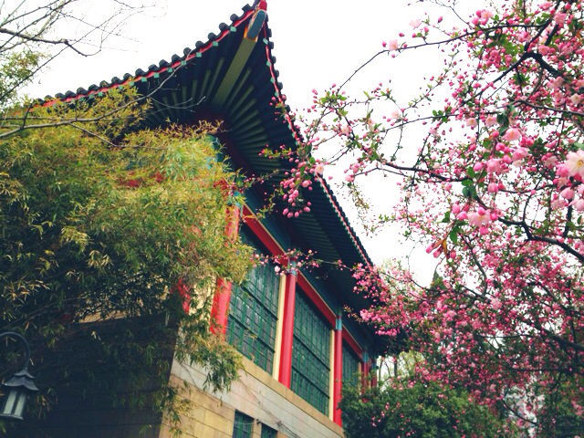 “人间天堂”的法学院系怎么样？来看江苏省榜单呀