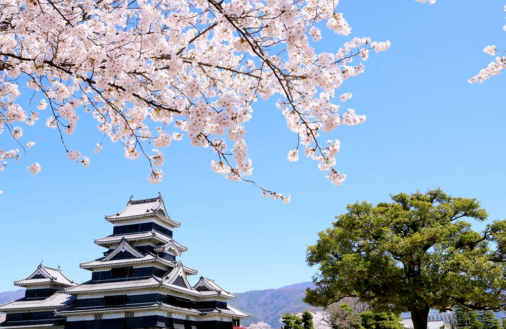 日本中部升龙道最佳旅游月份,升龙道游玩顺序