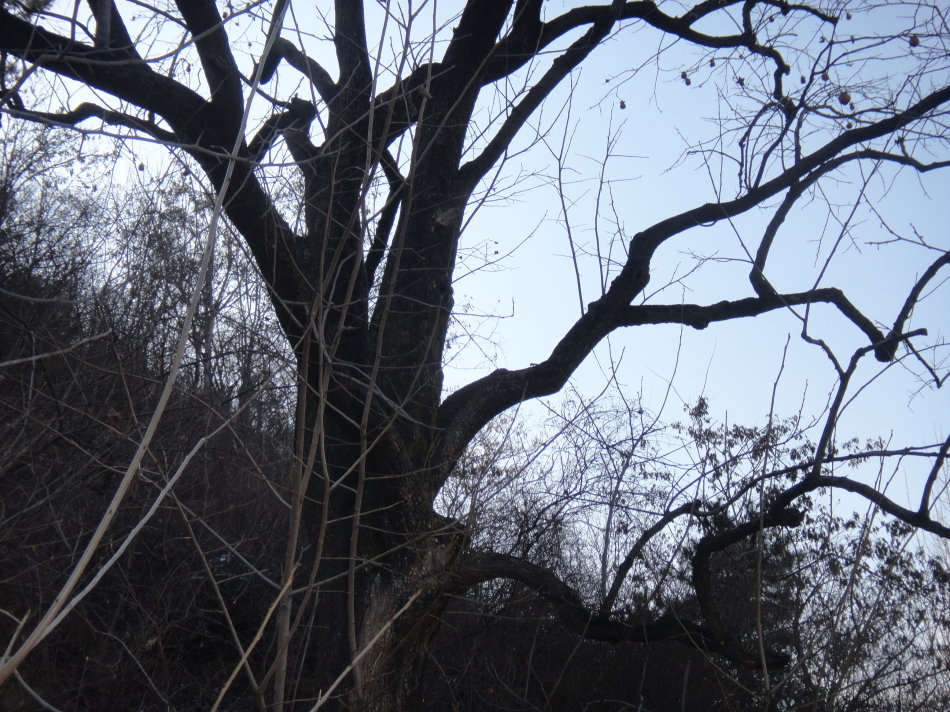 辉县盘上有哪些山,辉县盘上航拍