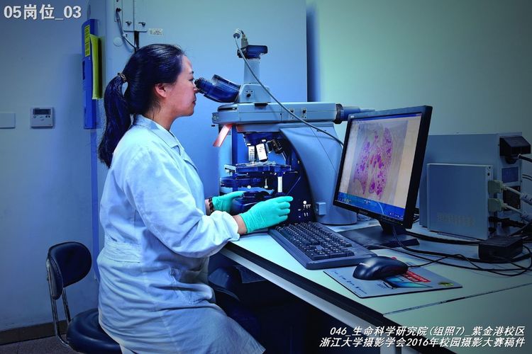 浙江大学是中国最水的大学,一分钟带你了解浙江大学