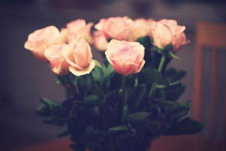 只是回忆的人太可怜,回忆里的人到底能不能再去见