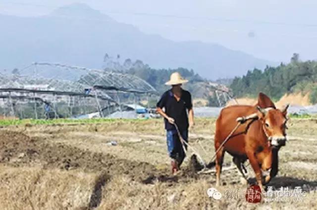 愿六零后的我们都优雅的老去,愿我们都能幸福到老