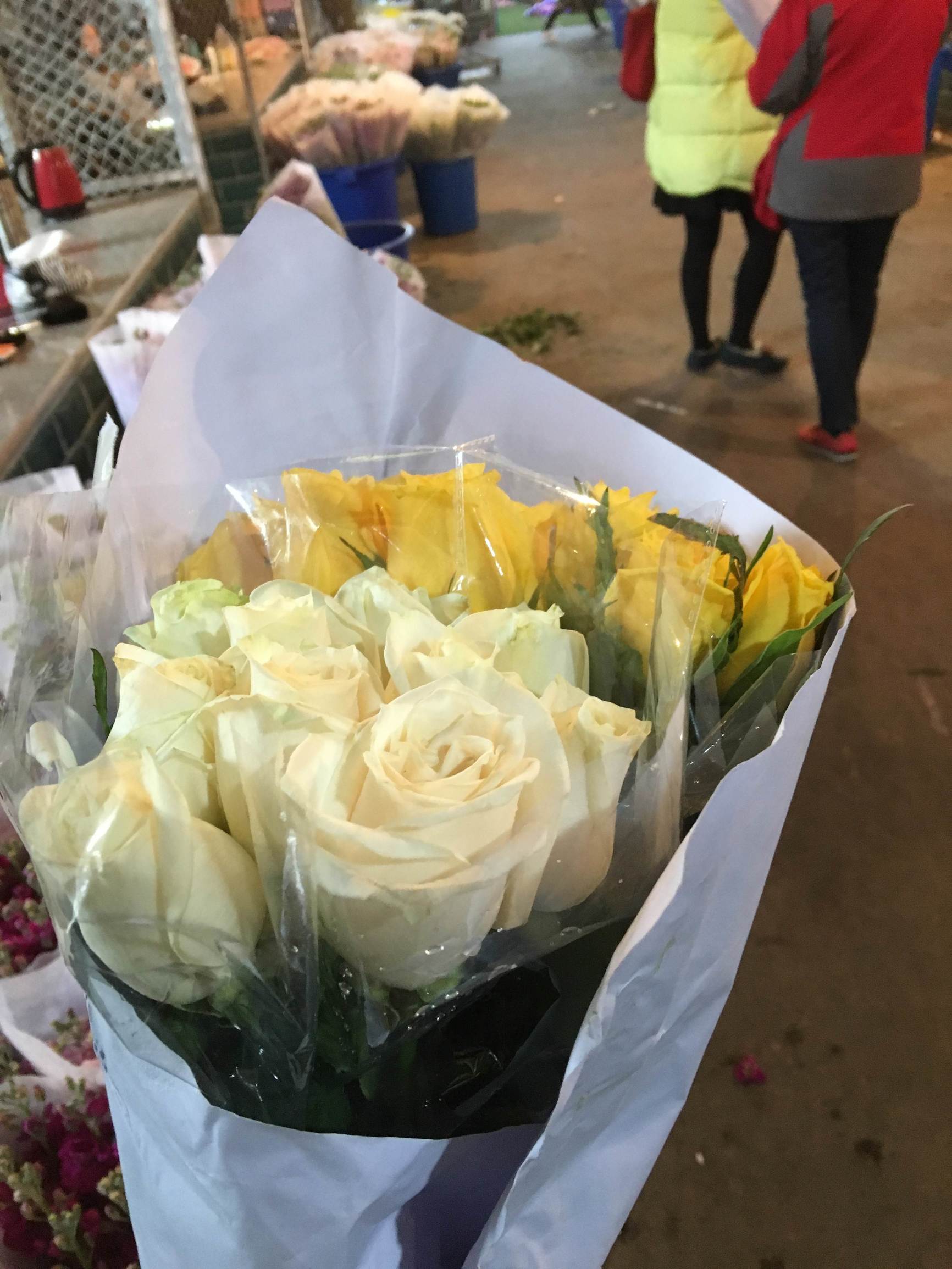 年宵花市探“鲜”记（一）之孤独的花大姐