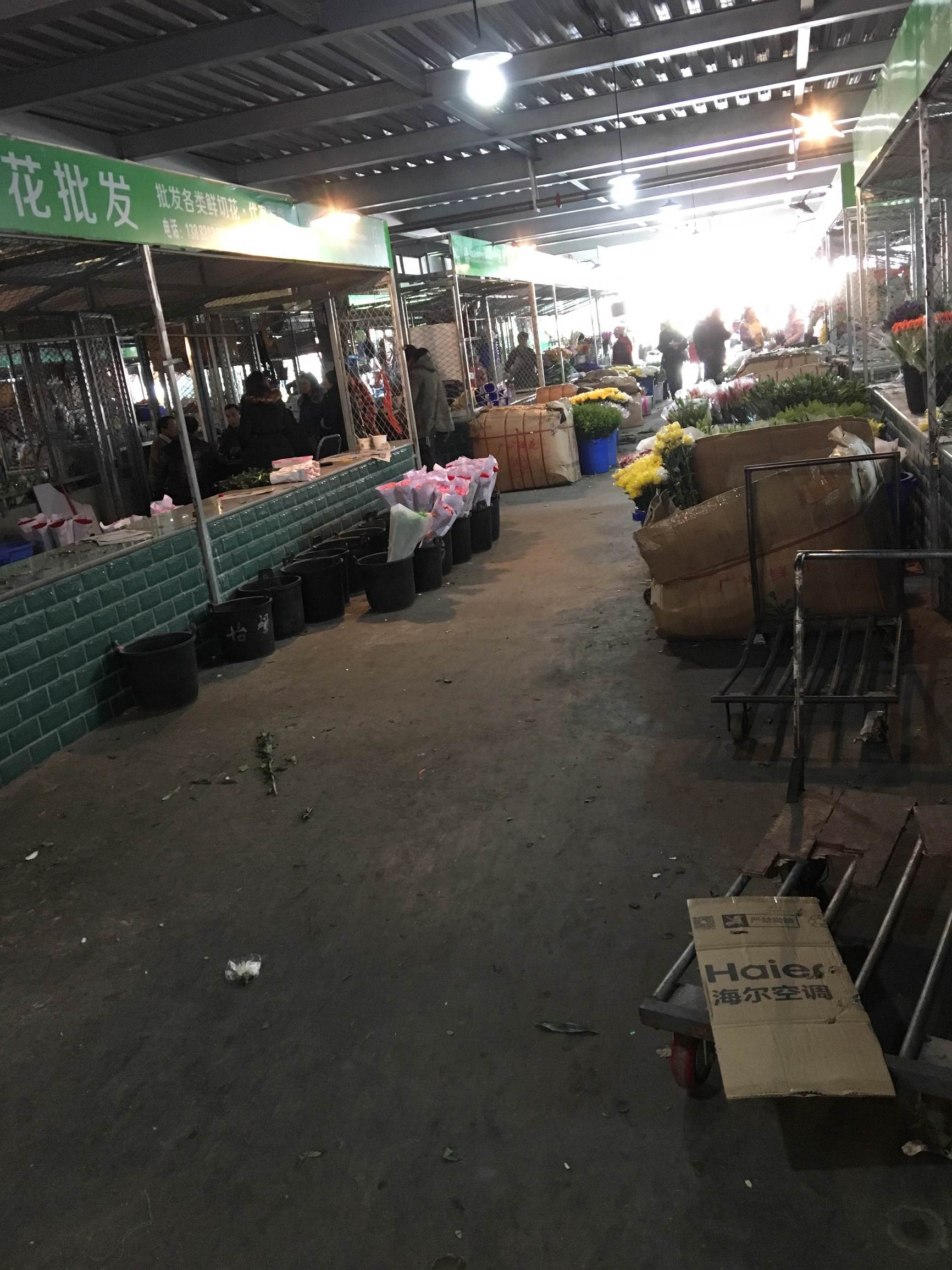 年宵花市探“鲜”记(一)之孤独的花大姐