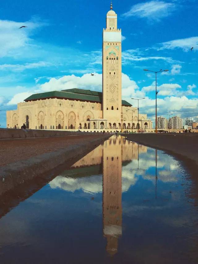 欧洲哪些大学适合交换生,法国交换生注意事项