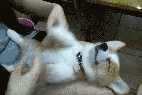 节前综合症很常见该如何调节 (重要通知专治各种节前综合症)