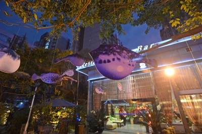 河豚国家有禁吃令吗,河豚你敢吃吗