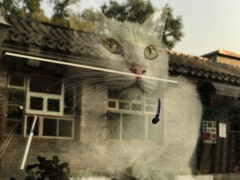 2016年度相机行业观察[Soomal]