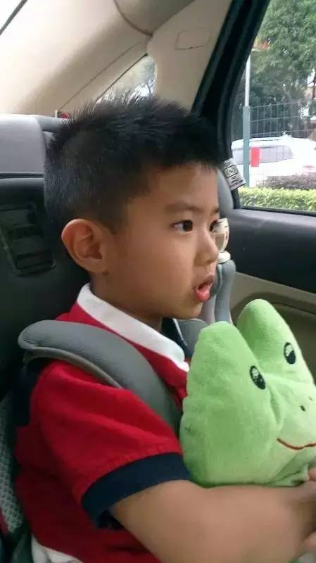 读者来稿丨抱着邦尼兔睡觉、拎着定型枕逛街、在公园里给土豆推秋千……小朋友的安抚物大集合！