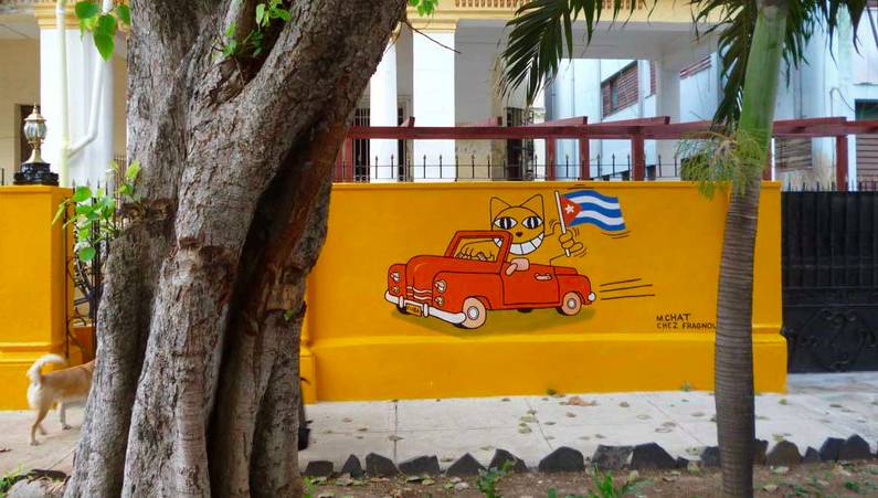 有一个街头艺术家把一只猫涂遍了巴黎,后来它遍布了全世界