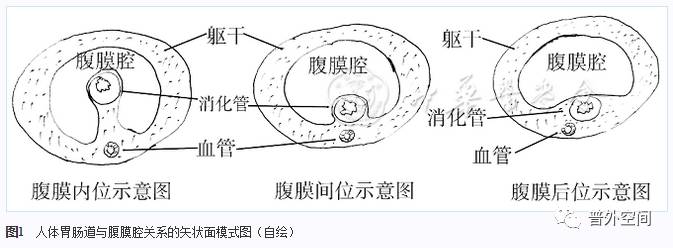 全胃切除是胃癌根治术吗,胃全切可以治愈胃癌吗