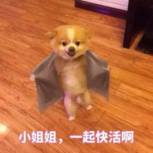 烧伤事件双方粉丝互撕六年，他们承受无尽痛苦，却总是被揭旧伤疤