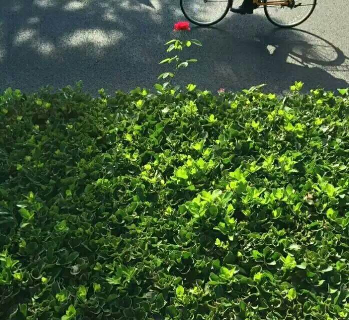 看完这些摄影作品点评，你的摄影技能会有大幅提升