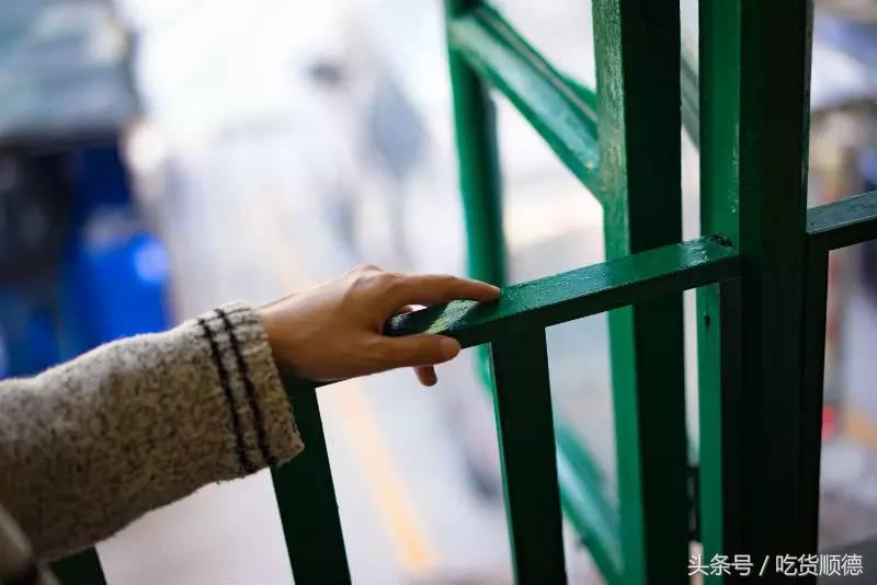 伦教这间店吃草、吃虫，竟然掠来了一波食客粉丝？