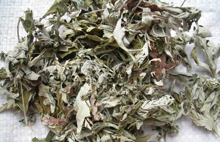 禽流感吃什么药好得快,流感来袭莫恐慌科学应对是关键