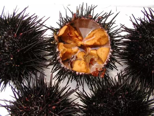 深圳年货地,深圳年货大全