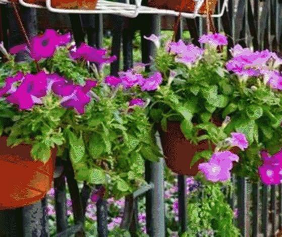 深圳全年货采购地，性价比非常高哦！