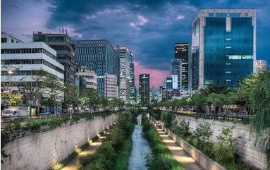 新媒体资讯服务,新媒体运营大礼包