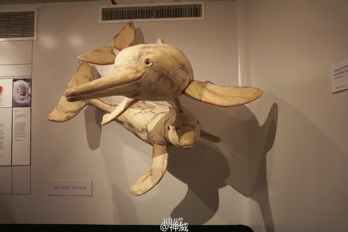 神会玩|XOXO，绯闻纽约的168小时享乐进行时