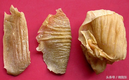 农村一个土鸡200元、有个部位能治小孩尿床