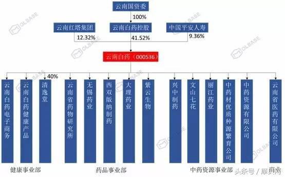 云南白药是国药集团的吗,云南白药是国营还是私营