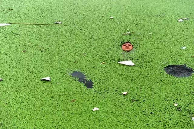 李劲松昭通,昭通李劲松