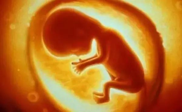 暖宫瑜伽60分钟跟练版,女性疗愈暖宫瑜伽视频教程