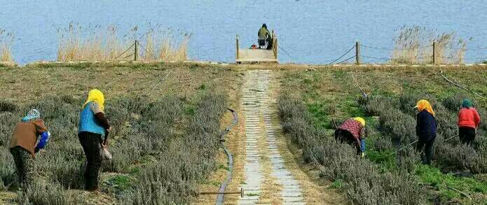 给摄影爱好者的十二条摄影经验,看完这组摄影作品你还淡定吗